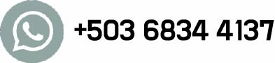 +503 6834 4137